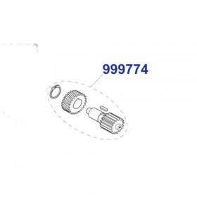 999774 - arbre primaire...