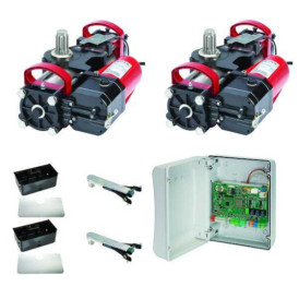motorisation enterré  collectif FAAC BOX S800H KIT