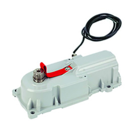 FAAC 770N24V - Motorisation enterrée 24V pour portail battant
